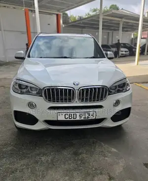 BMW X5 2018 SUV (Used)