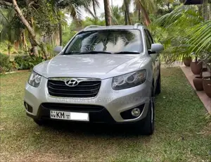 Hyundai Santa Fe 2010 SUV (Used)