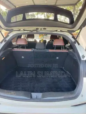 Toyota CHR 2019 SUV (Used)