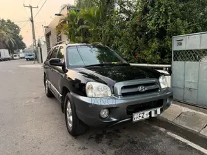 Hyundai Santa Fe 2004 SUV (Used)