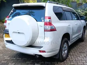 Toyota PRADO 2013 SUV (Used)