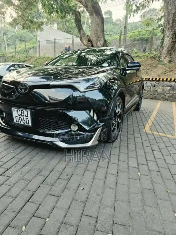 Toyota CHR 2019 SUV (Used)