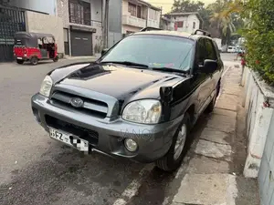 Hyundai Santa Fe 2004 SUV (Used)