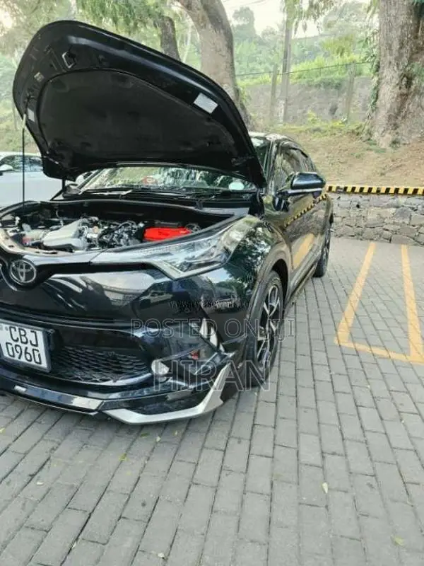 Toyota CHR 2019 SUV (Used)