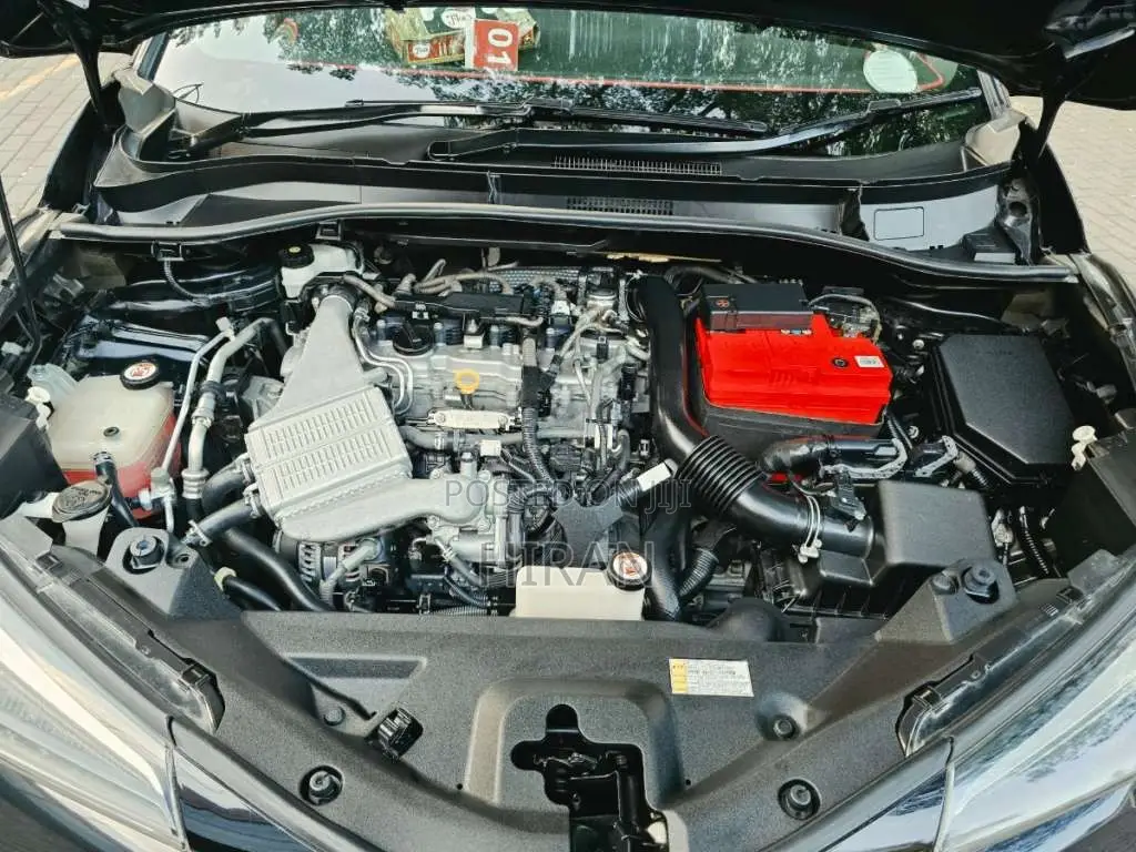 Toyota CHR 2019 SUV (Used)