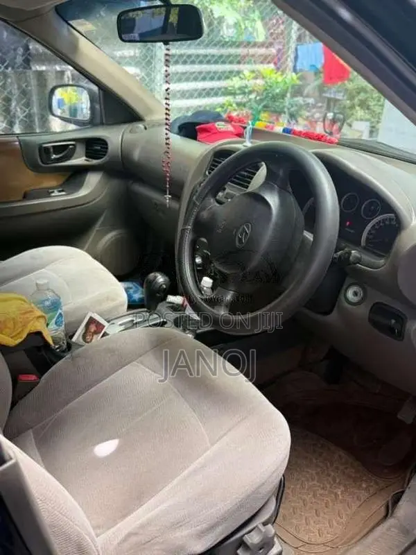 Hyundai Santa Fe 2004 SUV (Used)