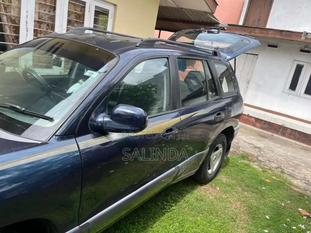 Hyundai Santa Fe 2006 SUV (Used)