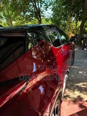 Toyota CHR 2018 SUV (Used)