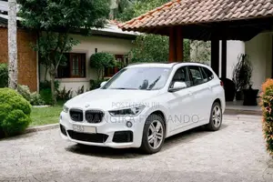 BMW X1 2019 SUV (Used)