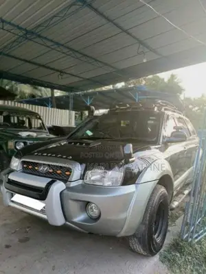 Hyundai Santa Fe 2003 SUV (Used)
