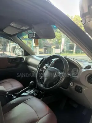 Hyundai Santa Fe 2003 SUV (Used)