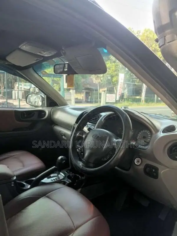 Hyundai Santa Fe 2003 SUV (Used)