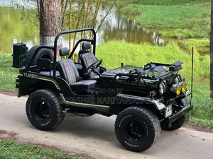 Mitsubishi 4DR6 Safari 1980 SUV (Used)