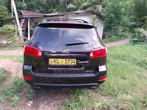 Hyundai Santa Fe 2009 SUV (Used)