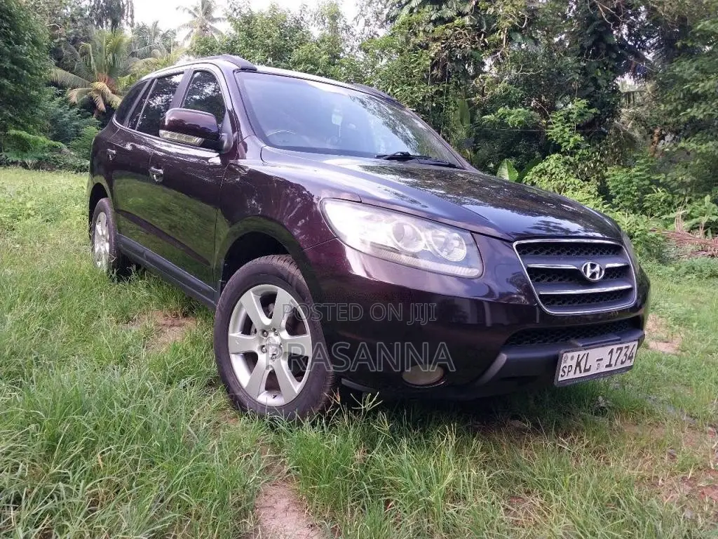 Hyundai Santa Fe 2009 SUV (Used)