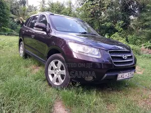 Hyundai Santa Fe 2009 SUV (Used)