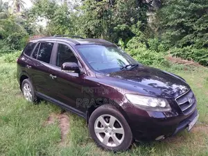 Hyundai Santa Fe 2009 SUV (Used)