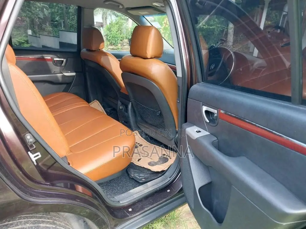 Hyundai Santa Fe 2009 SUV (Used)