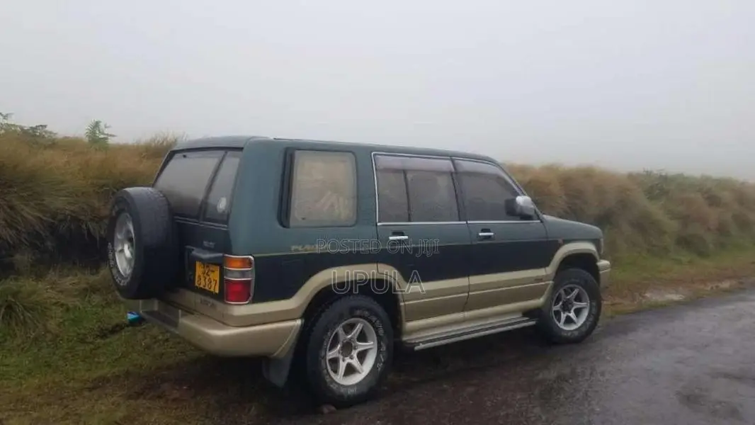 Isuzu Bighorn 1996 SUV (Used)