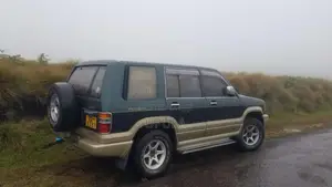 Isuzu Bighorn 1996 SUV (Used)