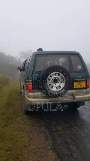 Isuzu Bighorn 1996 SUV (Used)