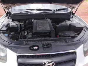 Hyundai Santa Fe 2009 SUV (Used)