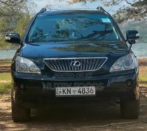 Toyota Harrier 2009 SUV (Used)