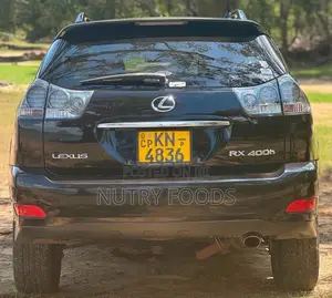 Toyota Harrier 2009 SUV (Used)