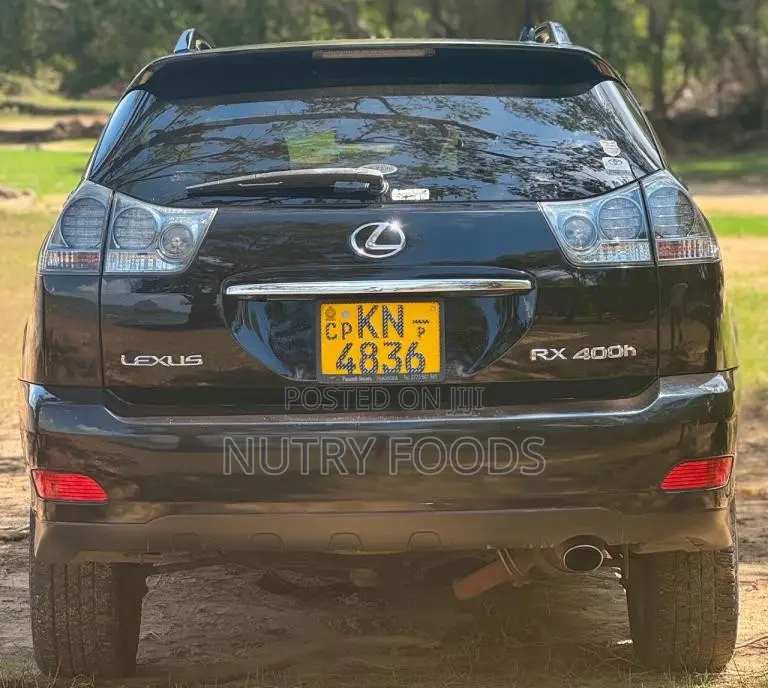 Toyota Harrier 2009 SUV (Used)