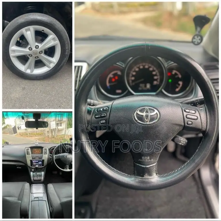 Toyota Harrier 2009 SUV (Used)