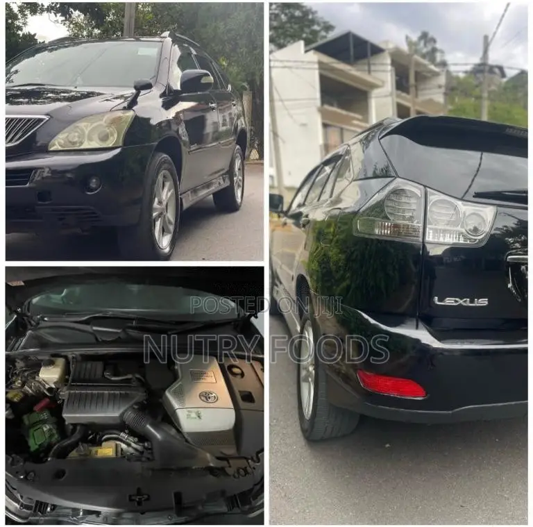 Toyota Harrier 2009 SUV (Used)