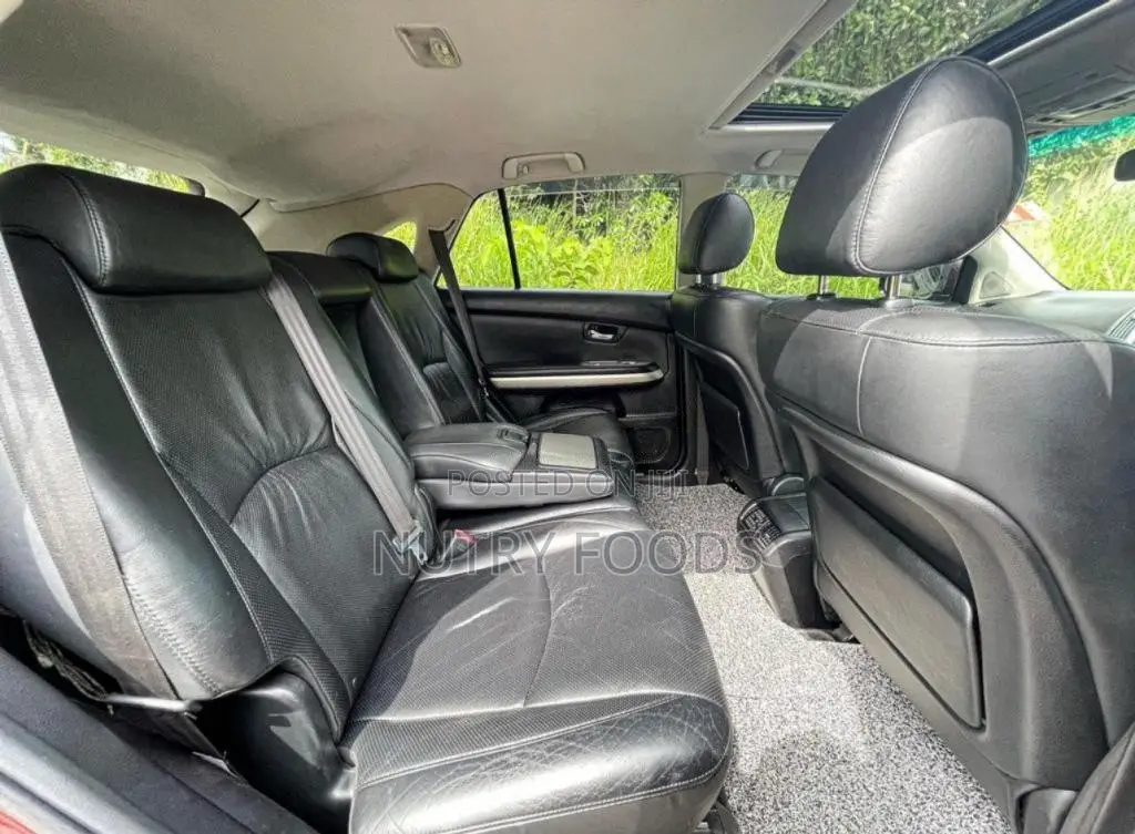 Toyota Harrier 2009 SUV (Used)