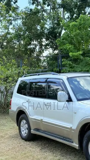 Mitsubishi Montero 2007 SUV (Used)