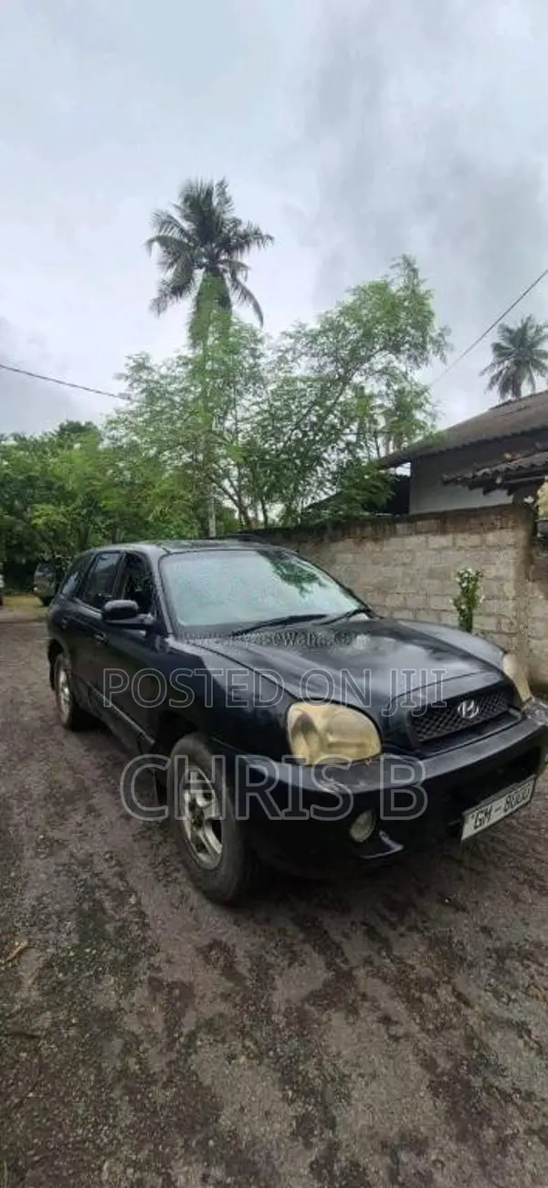 Hyundai Santa Fe 2001 SUV (Used)