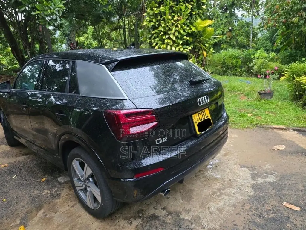 Audi Q2 2019 SUV (Used)