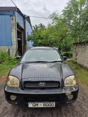 Hyundai Santa Fe 2001 SUV (Used)