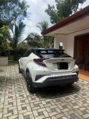 Toyota CHR 2019 SUV (Used)