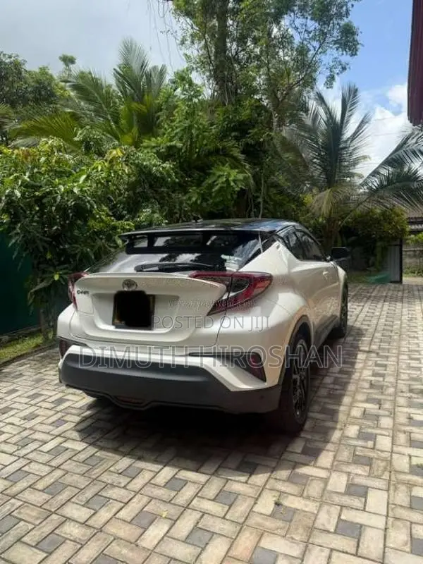 Toyota CHR 2019 SUV (Used)