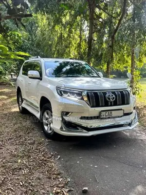 Toyota Land Cruiser Prado 150 2013 SUV (Used)