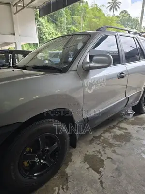 Hyundai Santa Fe 2001 SUV (Used)
