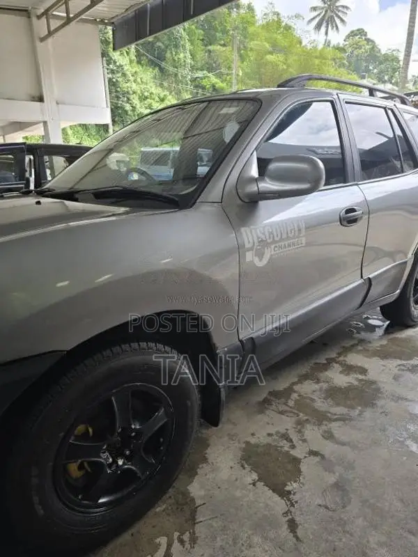 Hyundai Santa Fe 2001 SUV (Used)