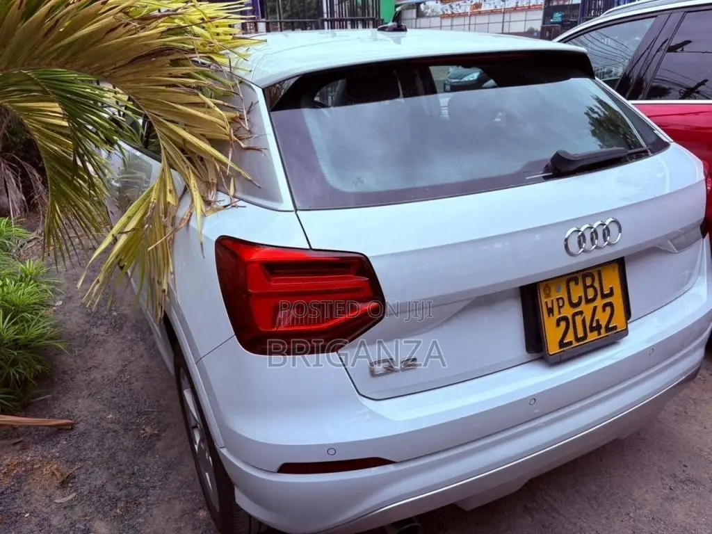 Audi Q2 2019 SUV (Used)