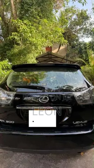 Lexus RX300 2003 SUV (Used)