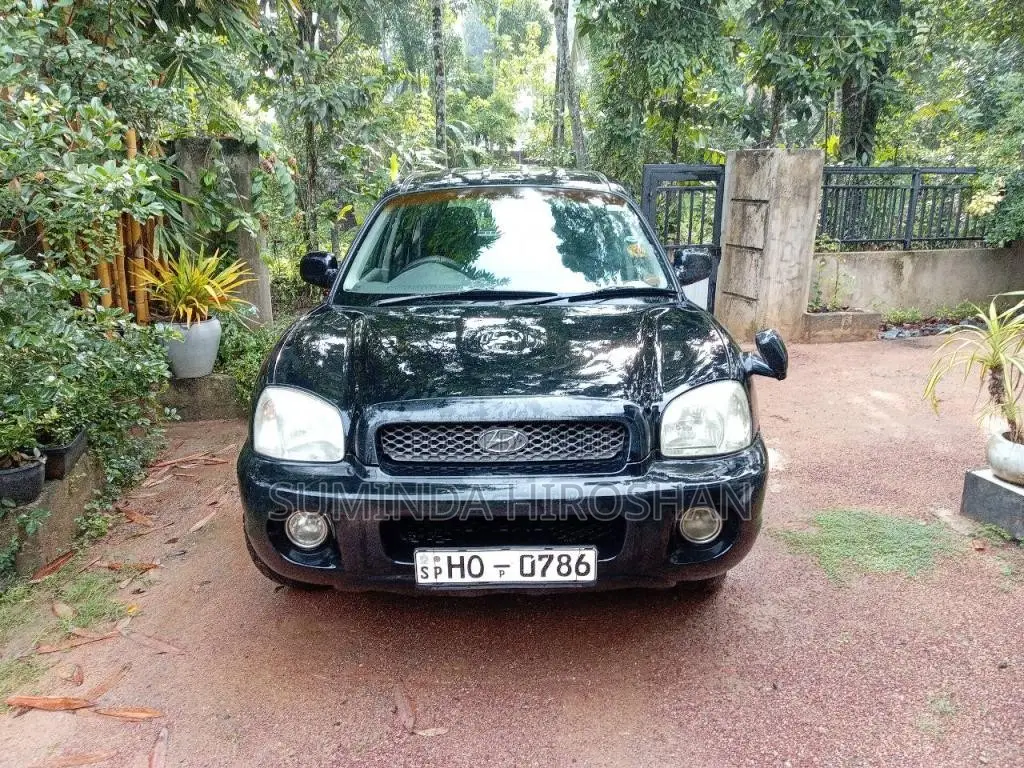 Hyundai Santa Fe 2003 SUV (Used)