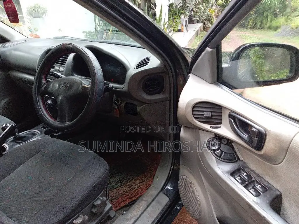 Hyundai Santa Fe 2003 SUV (Used)