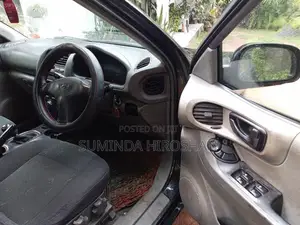 Hyundai Santa Fe 2003 SUV (Used)