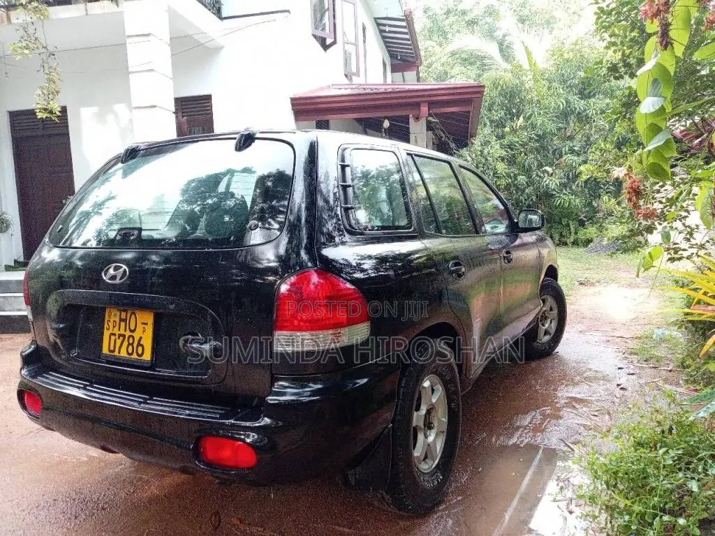Hyundai Santa Fe 2003 SUV (Used)