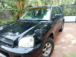 Hyundai Santa Fe 2003 SUV (Used)