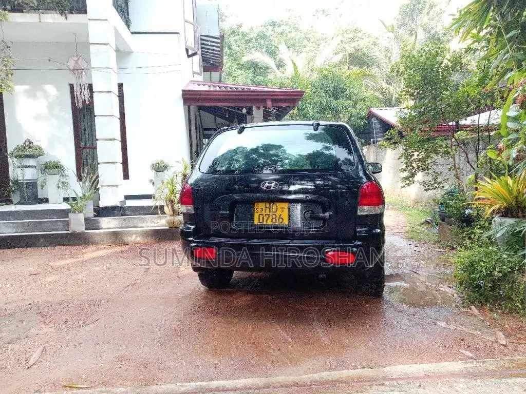 Hyundai Santa Fe 2003 SUV (Used)