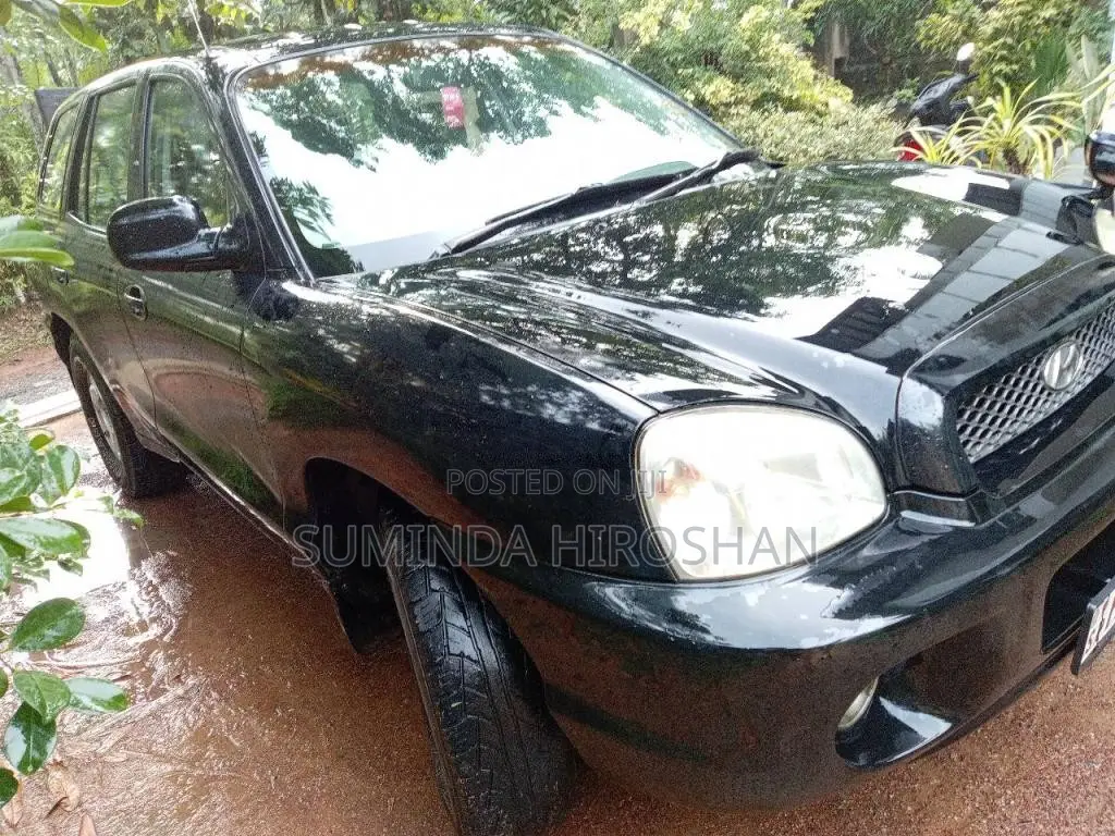Hyundai Santa Fe 2003 SUV (Used)